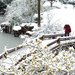 兴义市好玩的地方